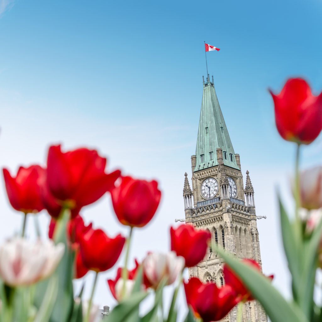 DPAC’s policy priorities for the 2021 federal election